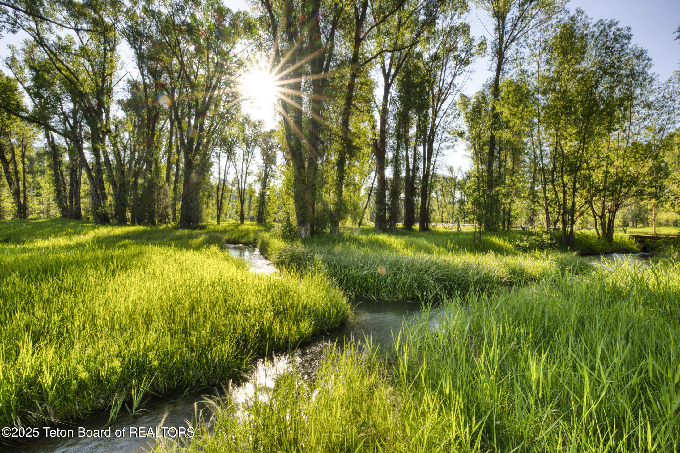 55 S ELY SPRINGS Road