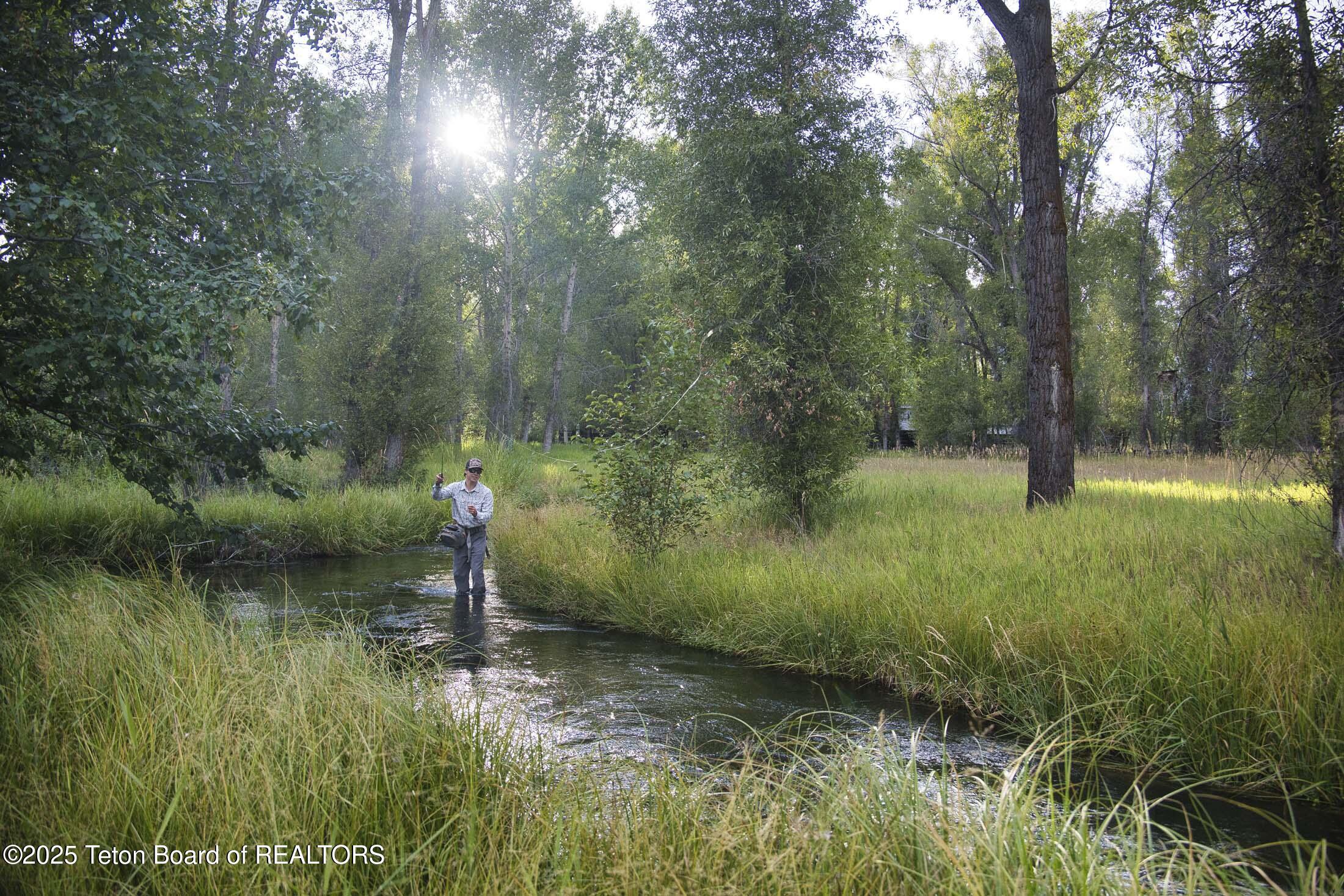 55 S ELY SPRINGS Road