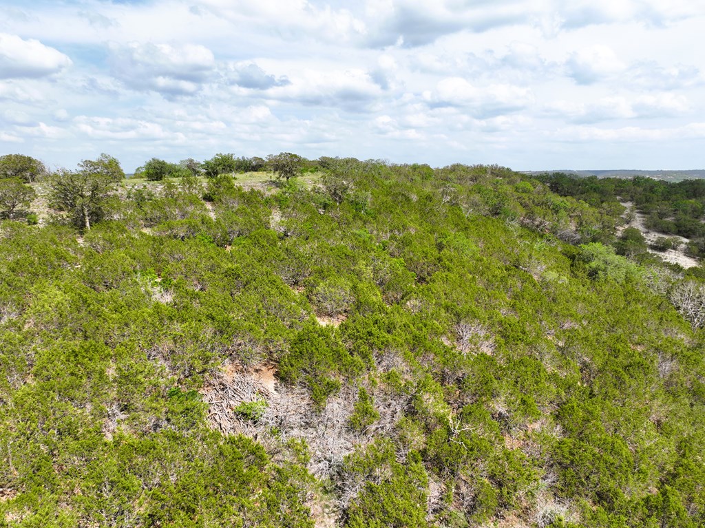 00 Cypress Creek Rd