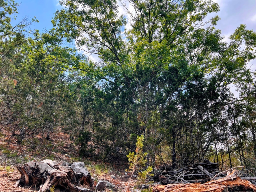00 Cypress Creek Rd
