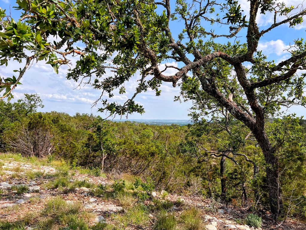 00 Cypress Creek Rd