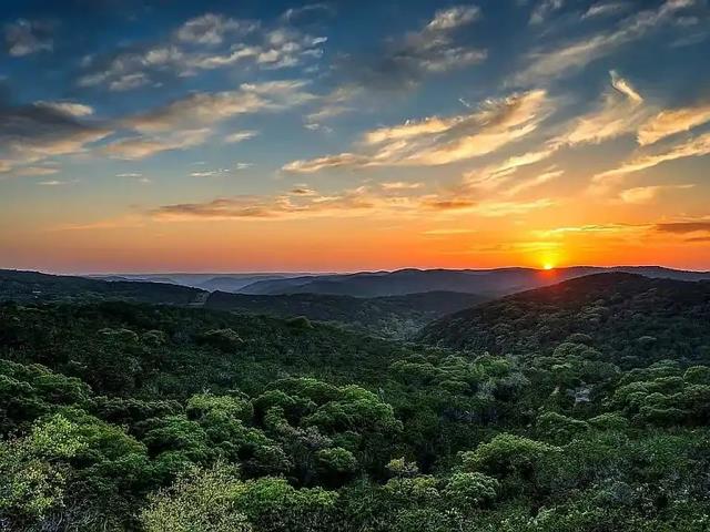 00 Cypress Creek Rd