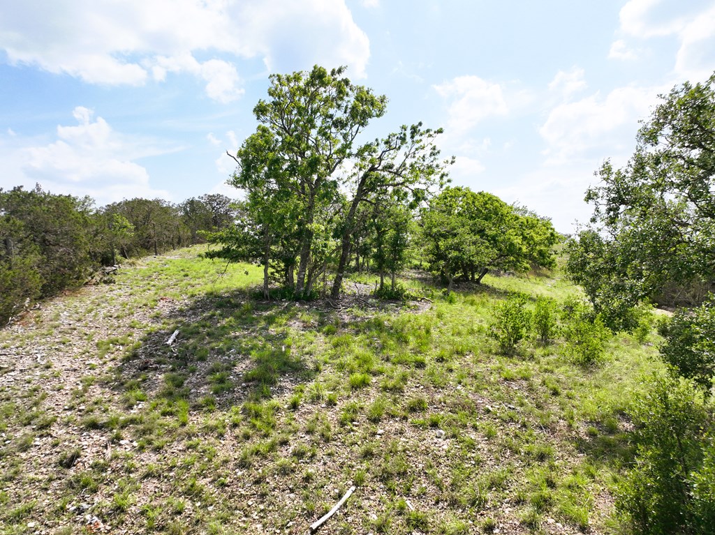 00 Cypress Creek Rd
