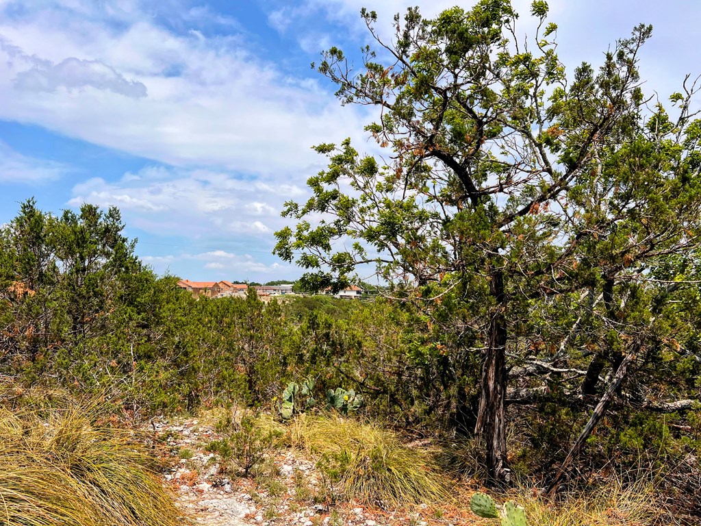 00 Cypress Creek Rd