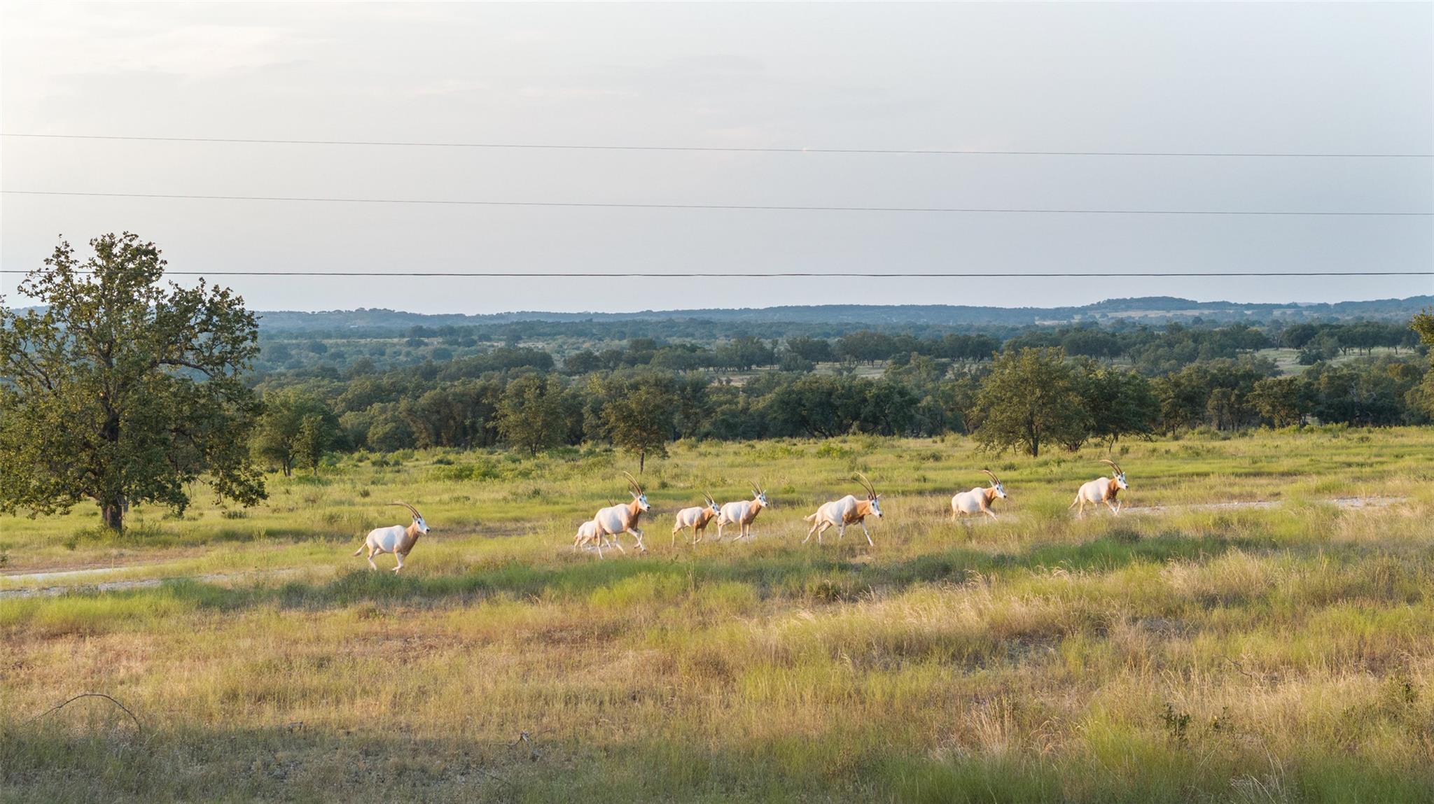 8577 Ranch Road 2766