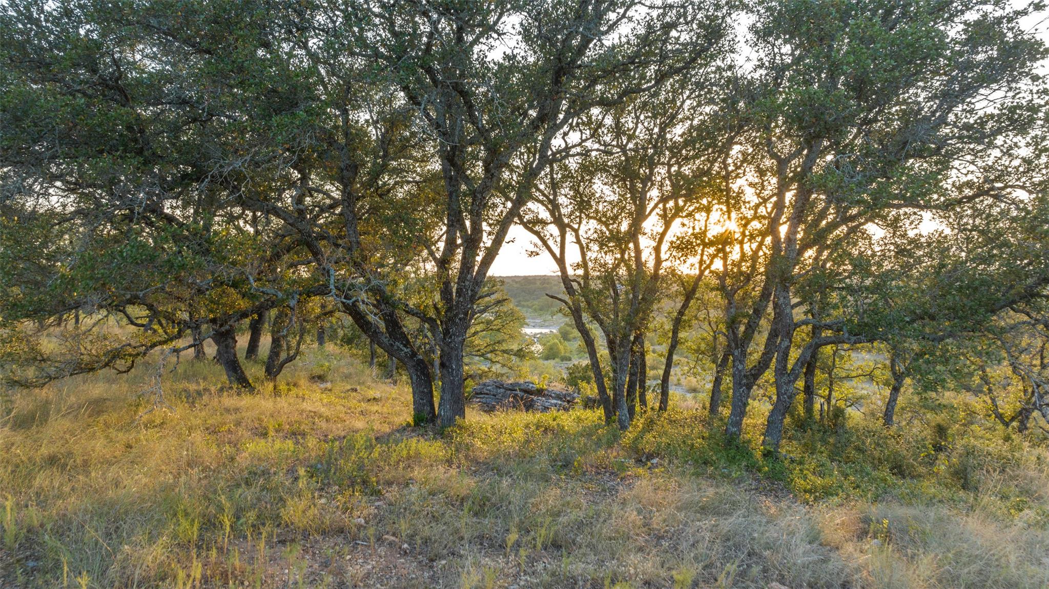 8577 Ranch Road 2766