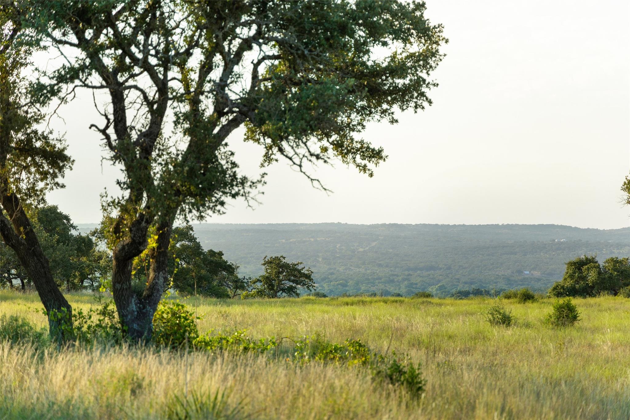 8577 Ranch Road 2766