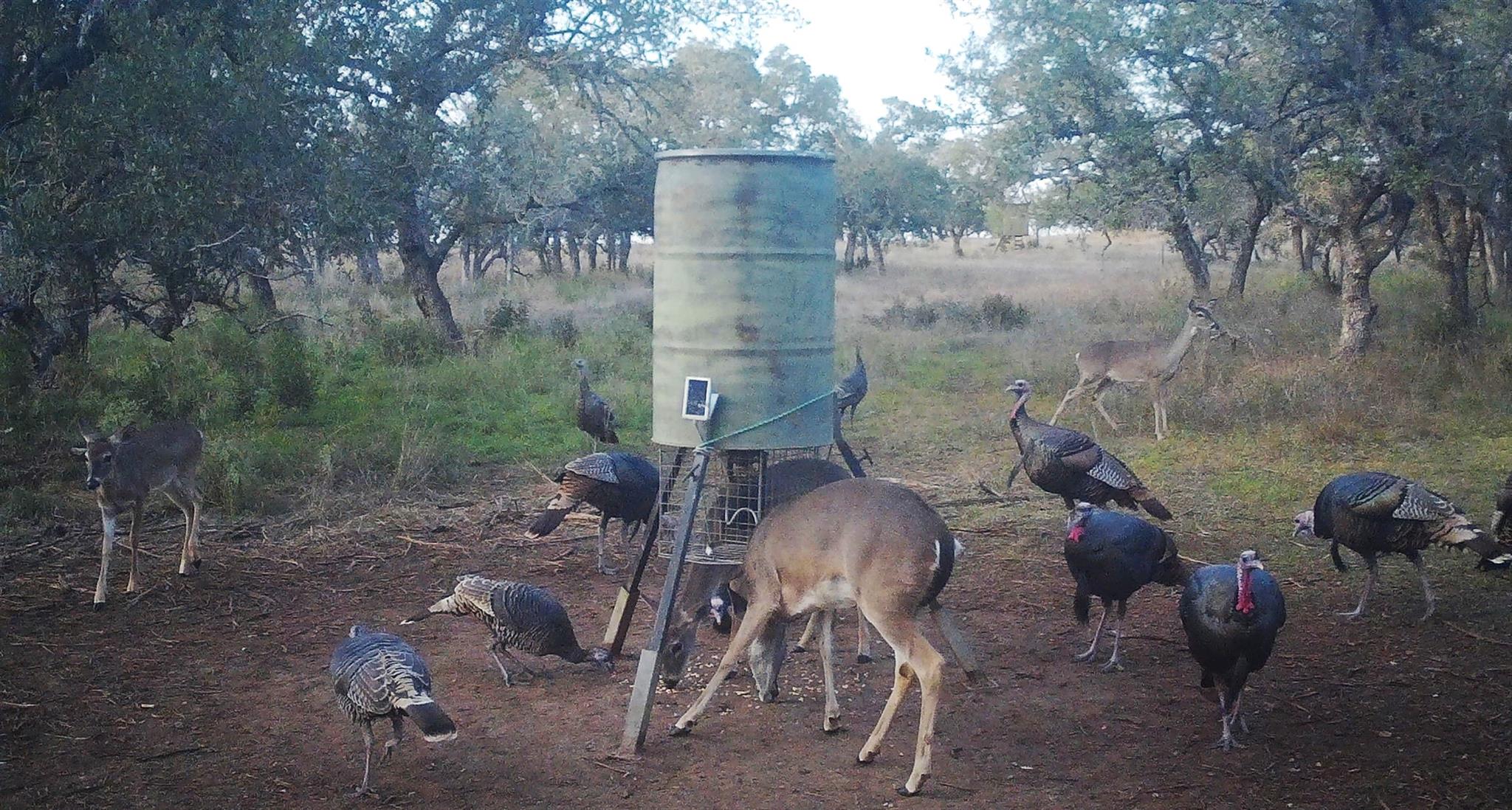 8577 Ranch Road 2766