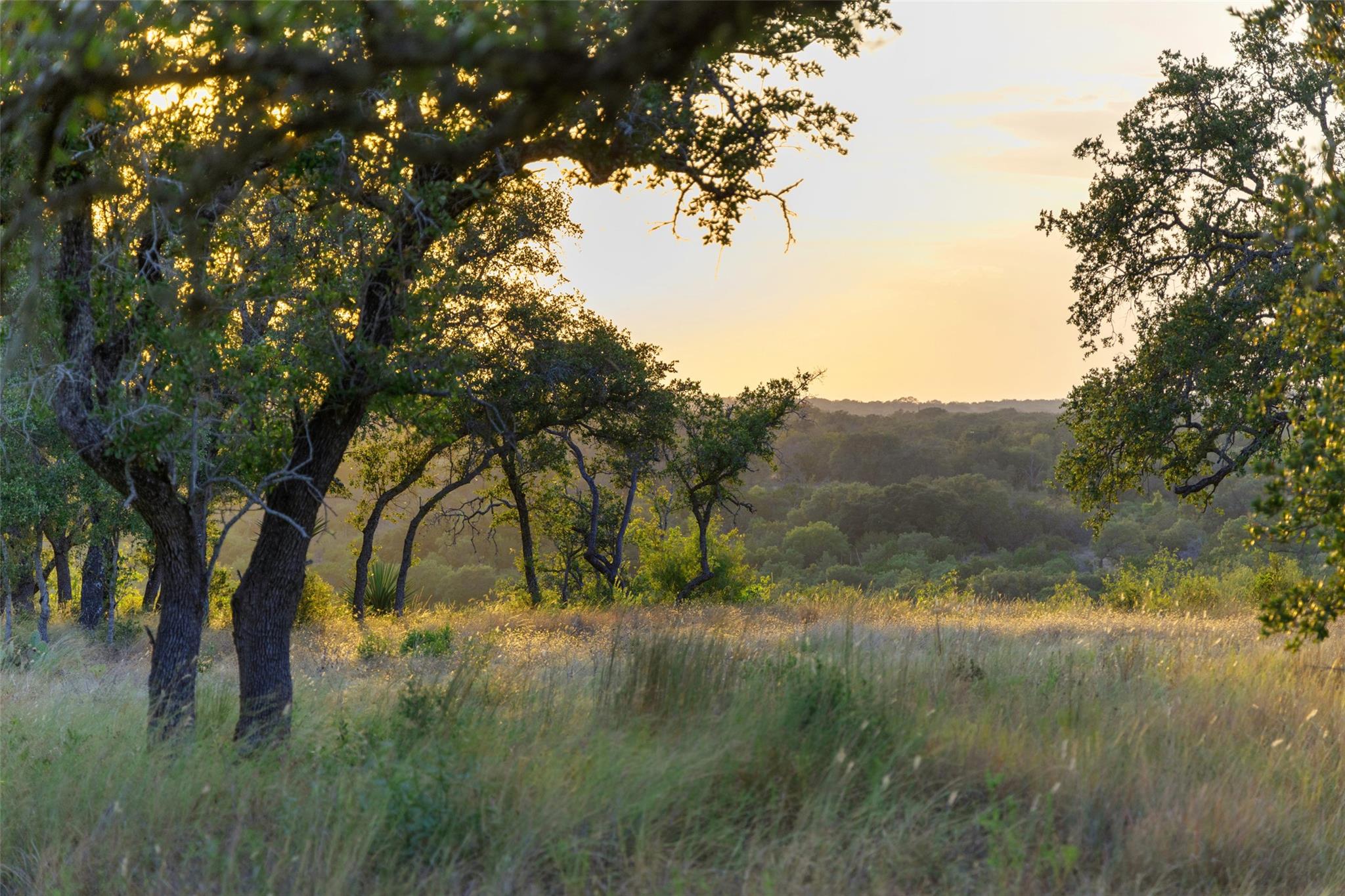 8577 Ranch Road 2766