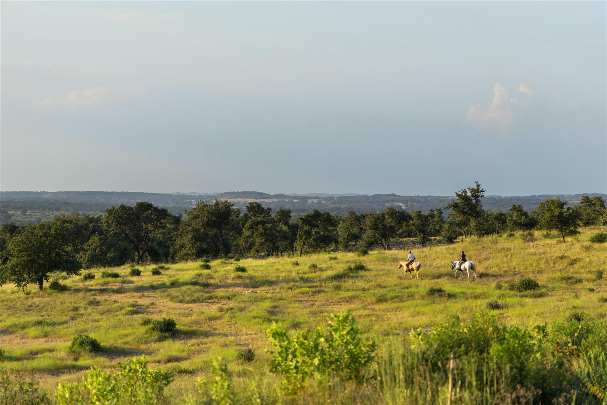 8577 Ranch Road 2766