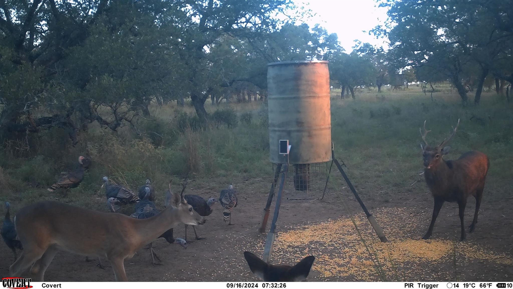 8577 Ranch Road 2766