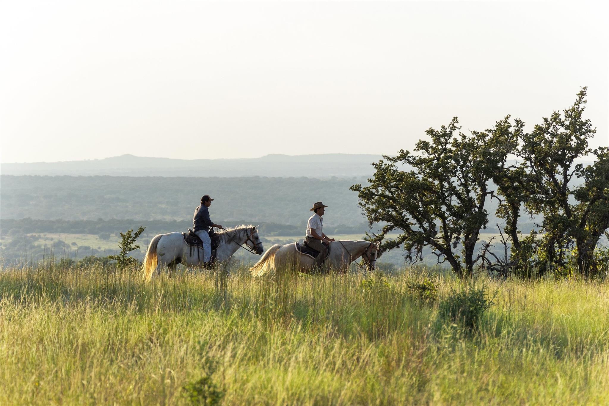 8577 Ranch Road 2766