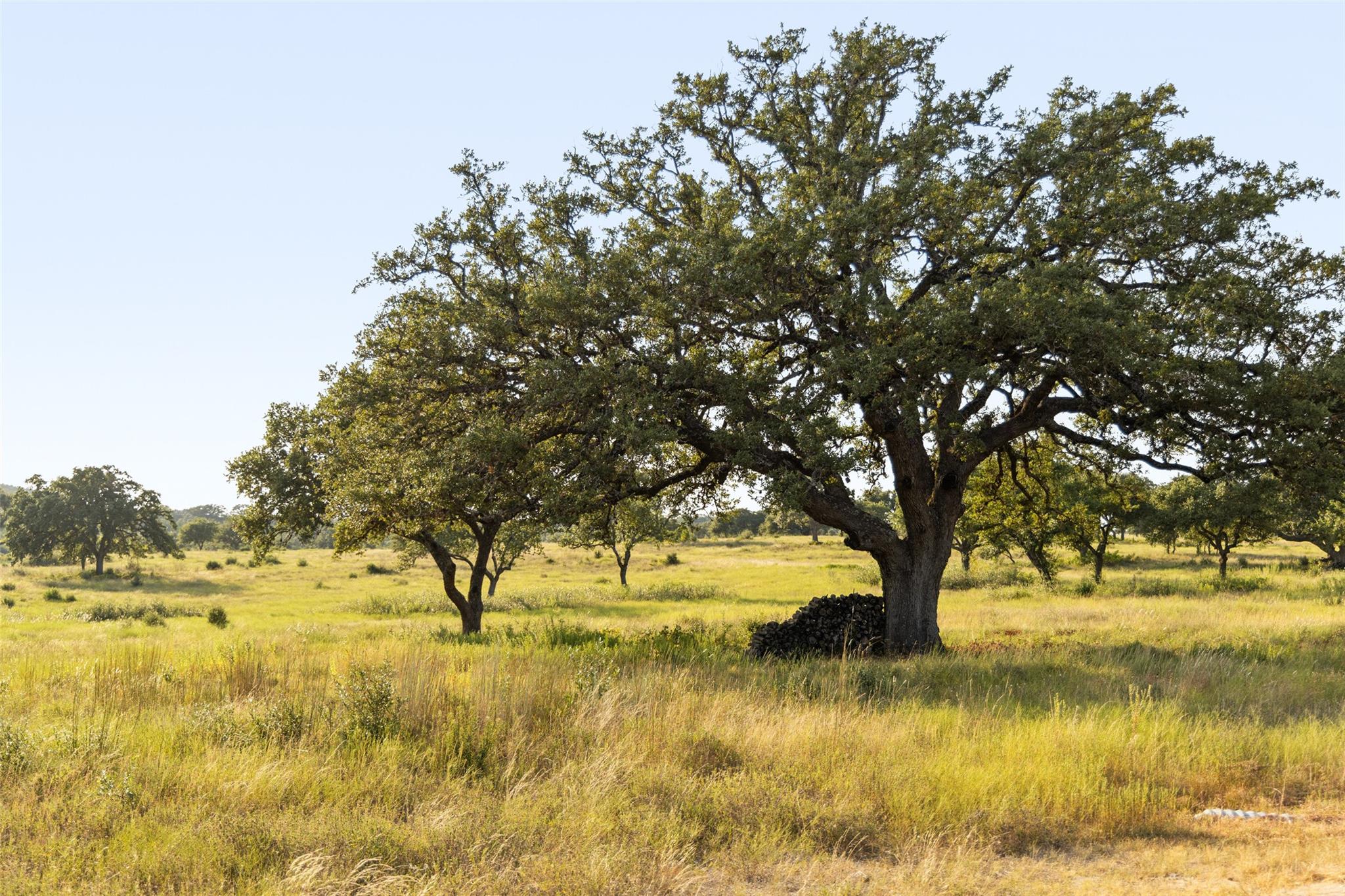 8577 Ranch Road 2766