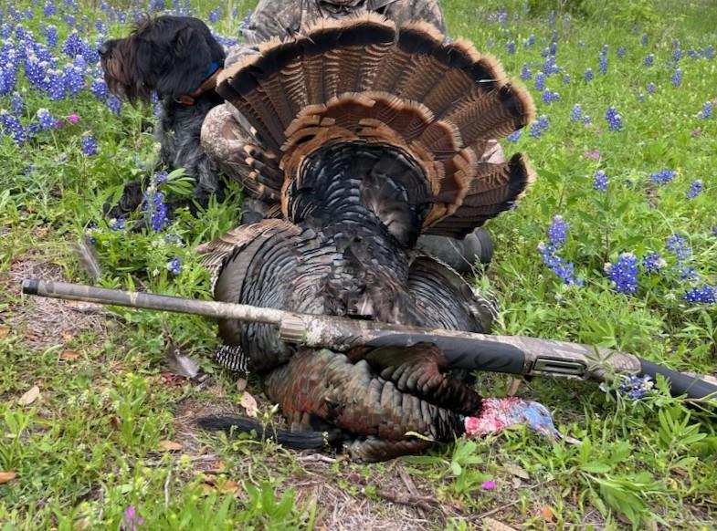 8577 Ranch Road 2766