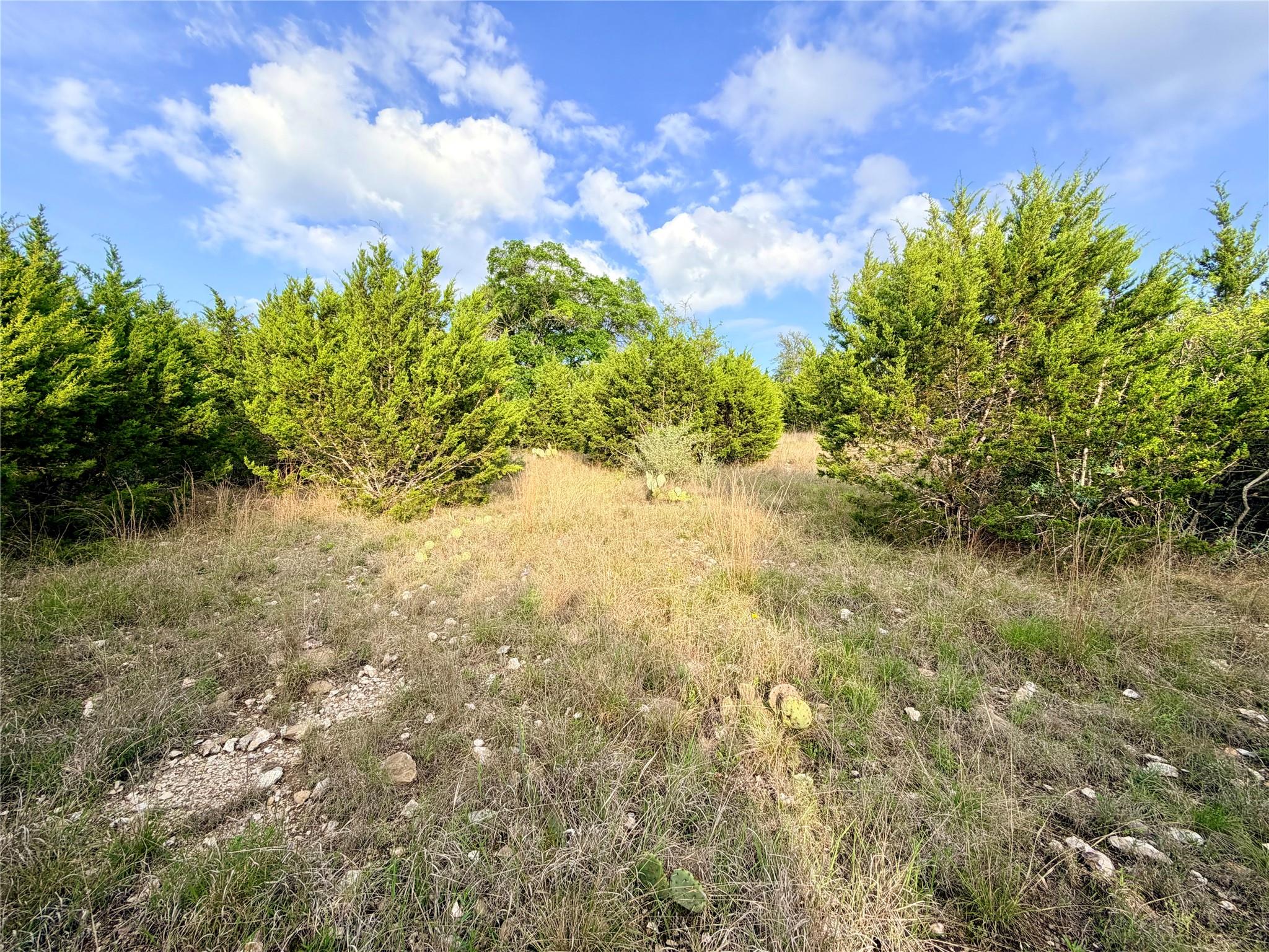 Lot 13 Spies Ridge DR N