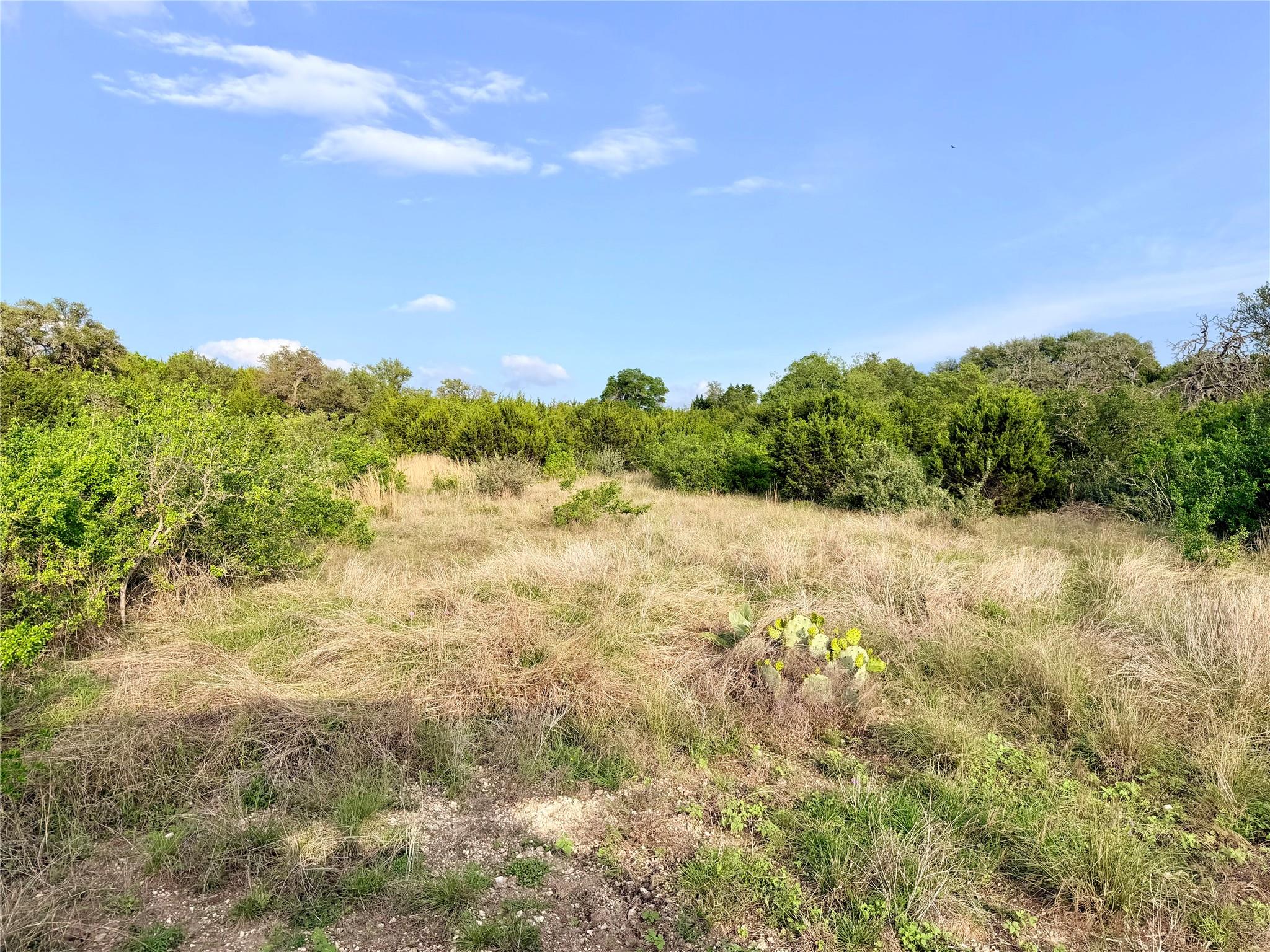 Lot 13 Spies Ridge DR N