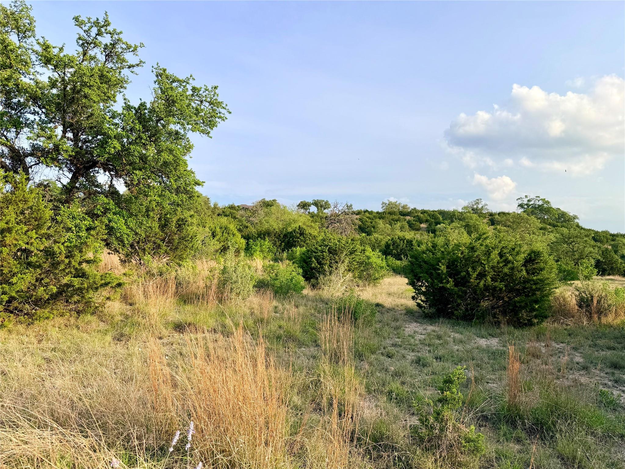 Lot 13 Spies Ridge DR N