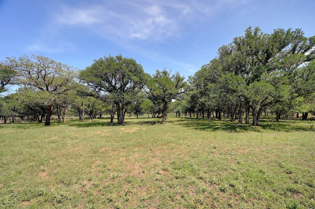 539 Woodland Dr