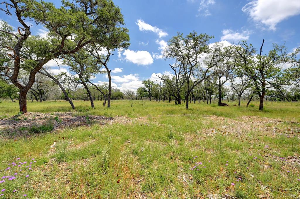 Lot 7 Silas Trail