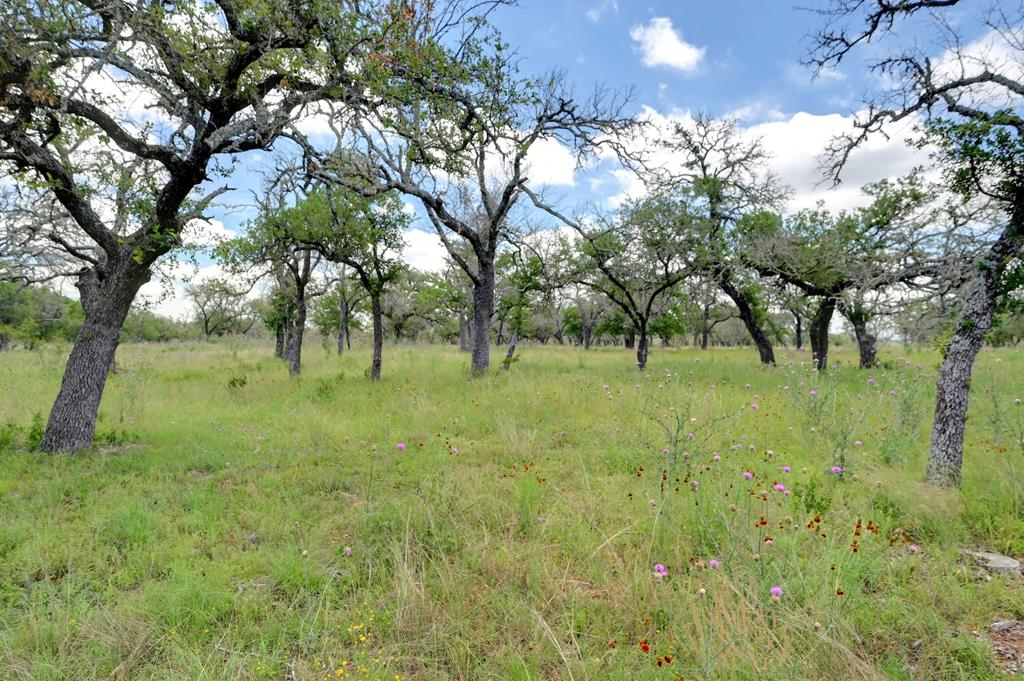 Lot 7 Silas Trail
