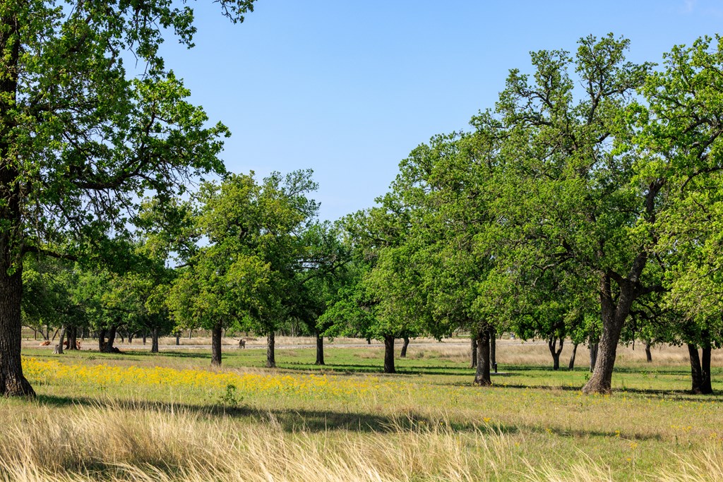 Lot 9 Silas Trail