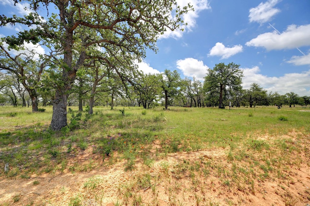 Lot 9 Silas Trail