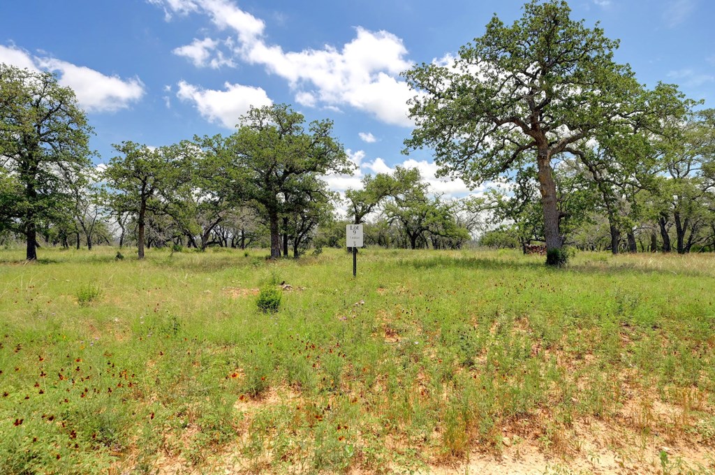 Lot 9 Silas Trail