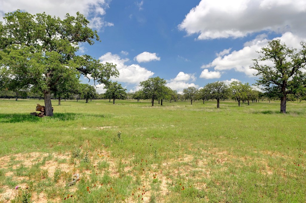 Lot 9 Silas Trail