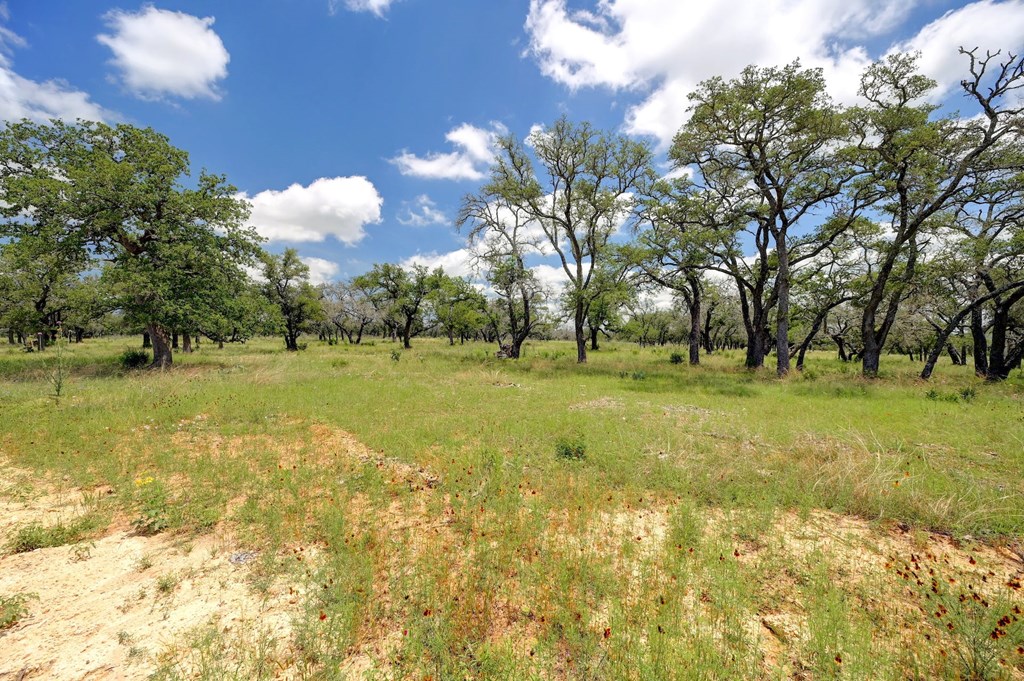 Lot 10 Silas Trail