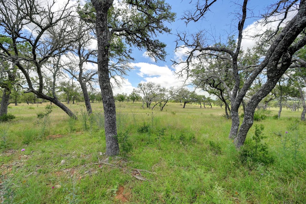 Lot 10 Silas Trail
