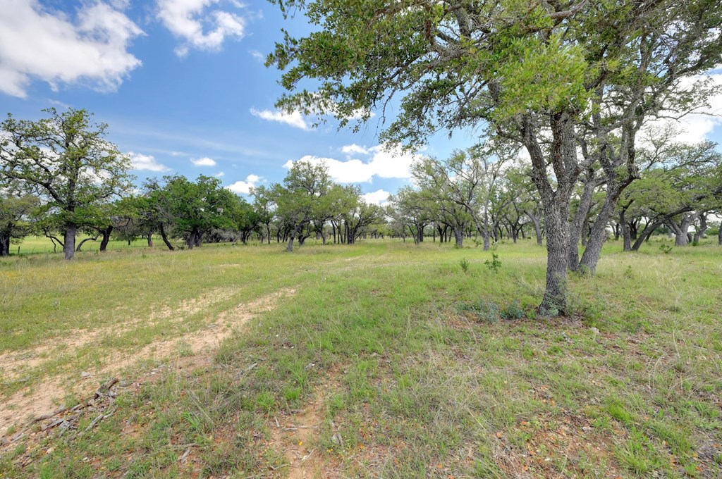 Lot 6 Silas Trail
