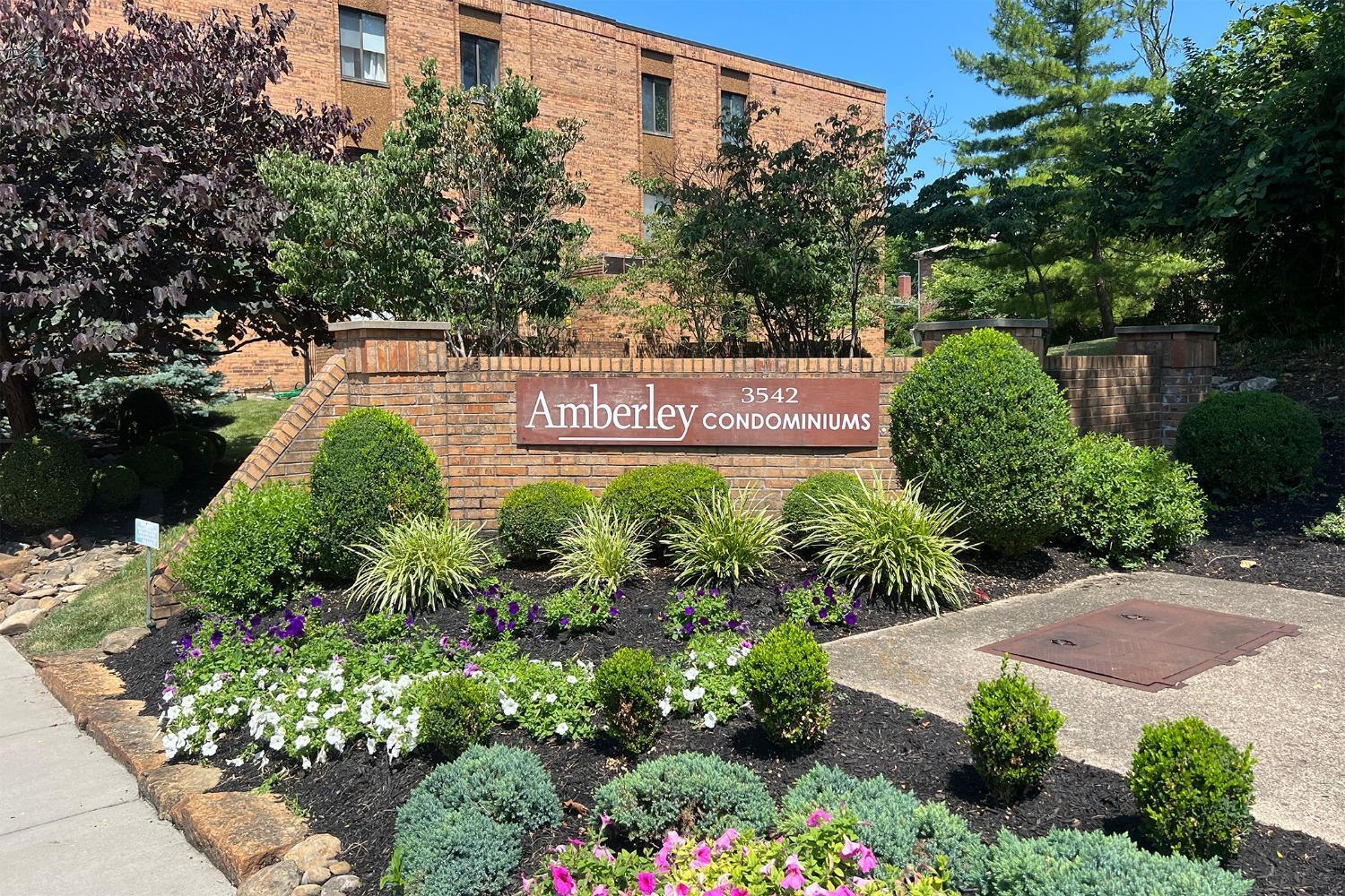 3542 Amberacres Drive 305N