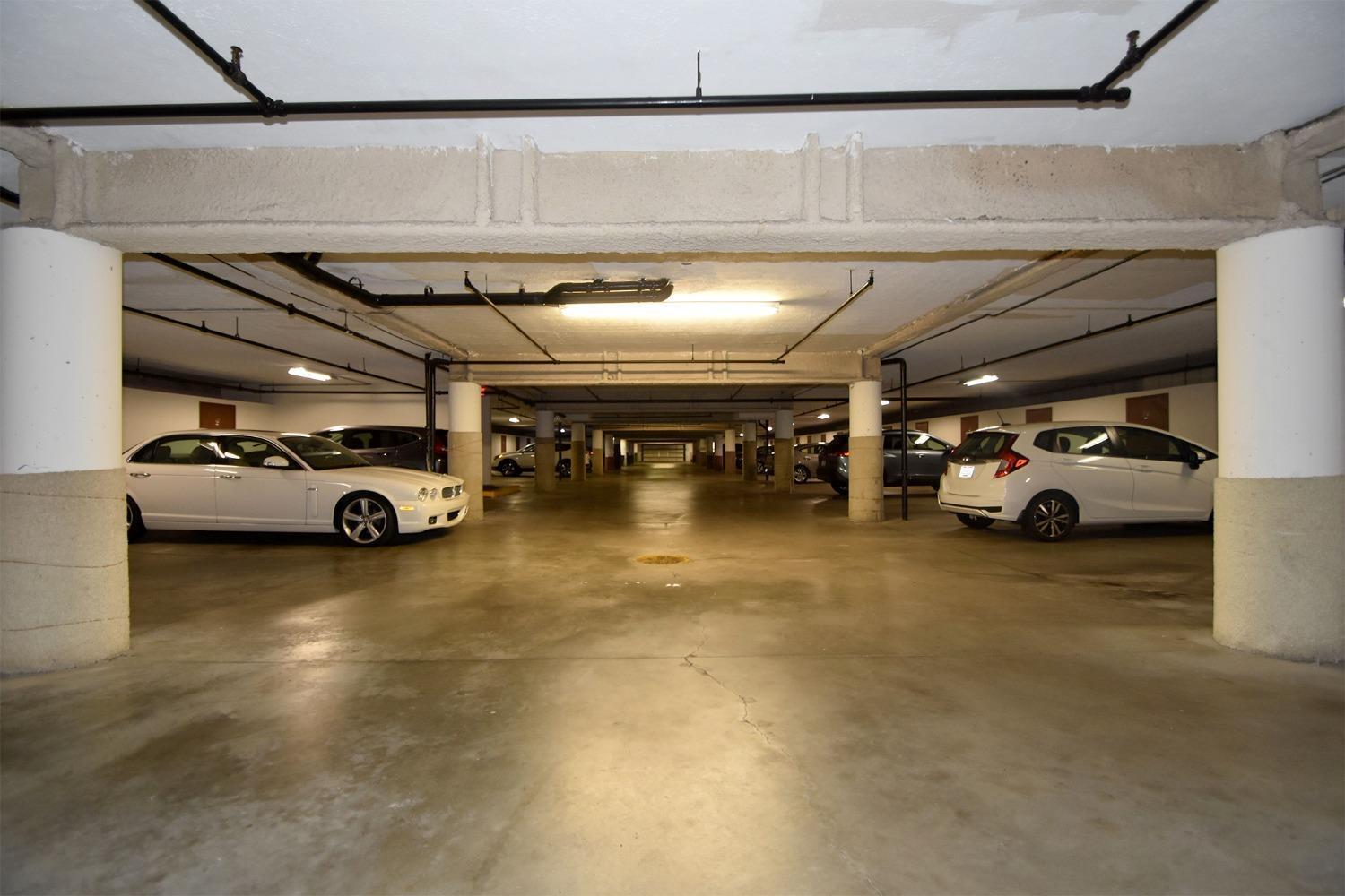 3542 Amberacres Drive 305N