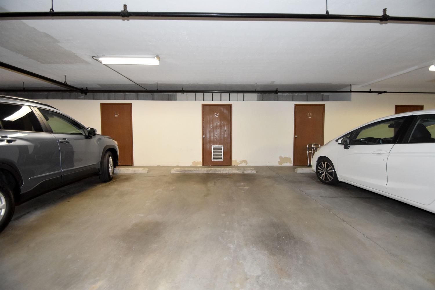 3542 Amberacres Drive 305N