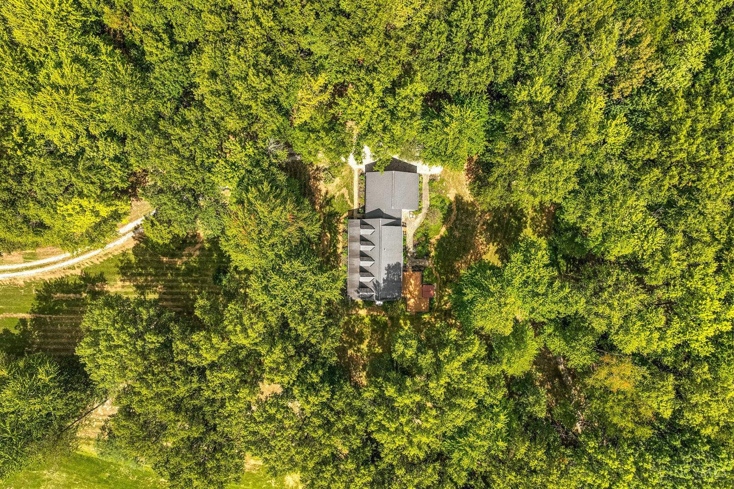 3250 State Route 132