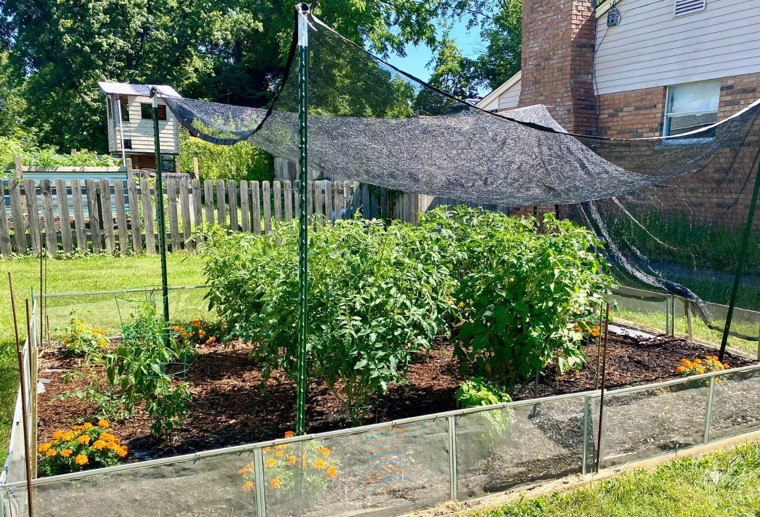 1202 Immaculate Lane