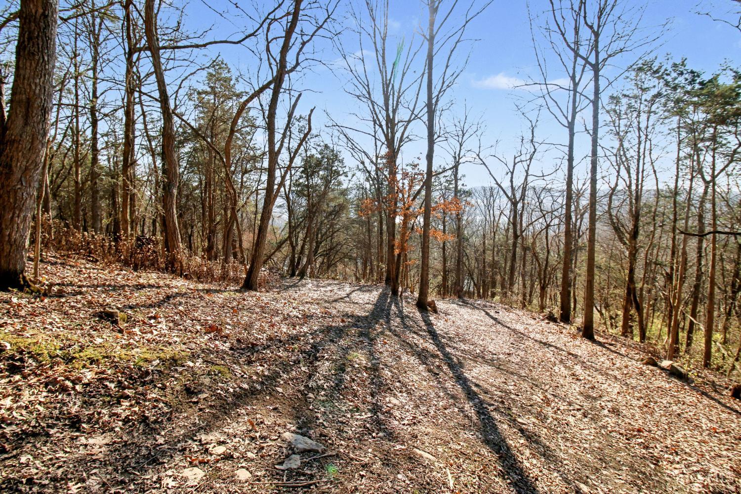 8290 Old Kellogg