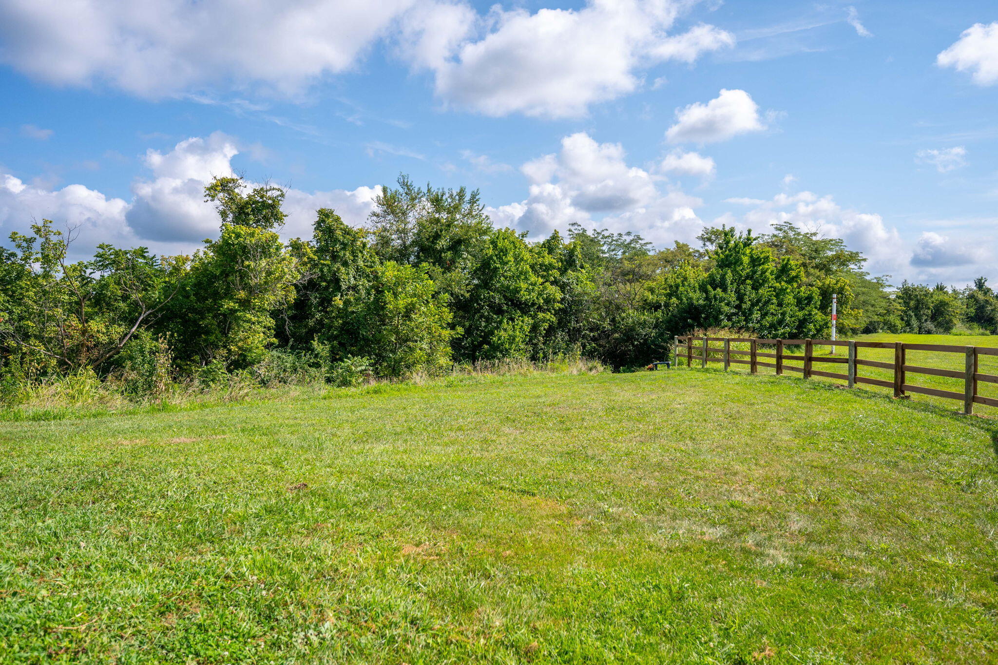 400 Cynthiana Street