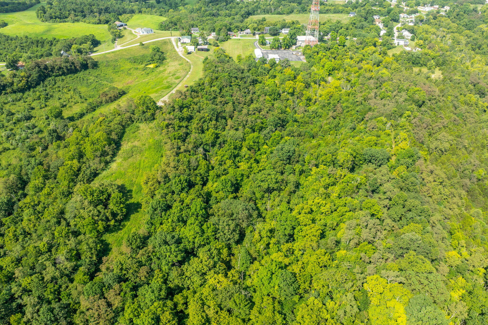 400 Cynthiana Street