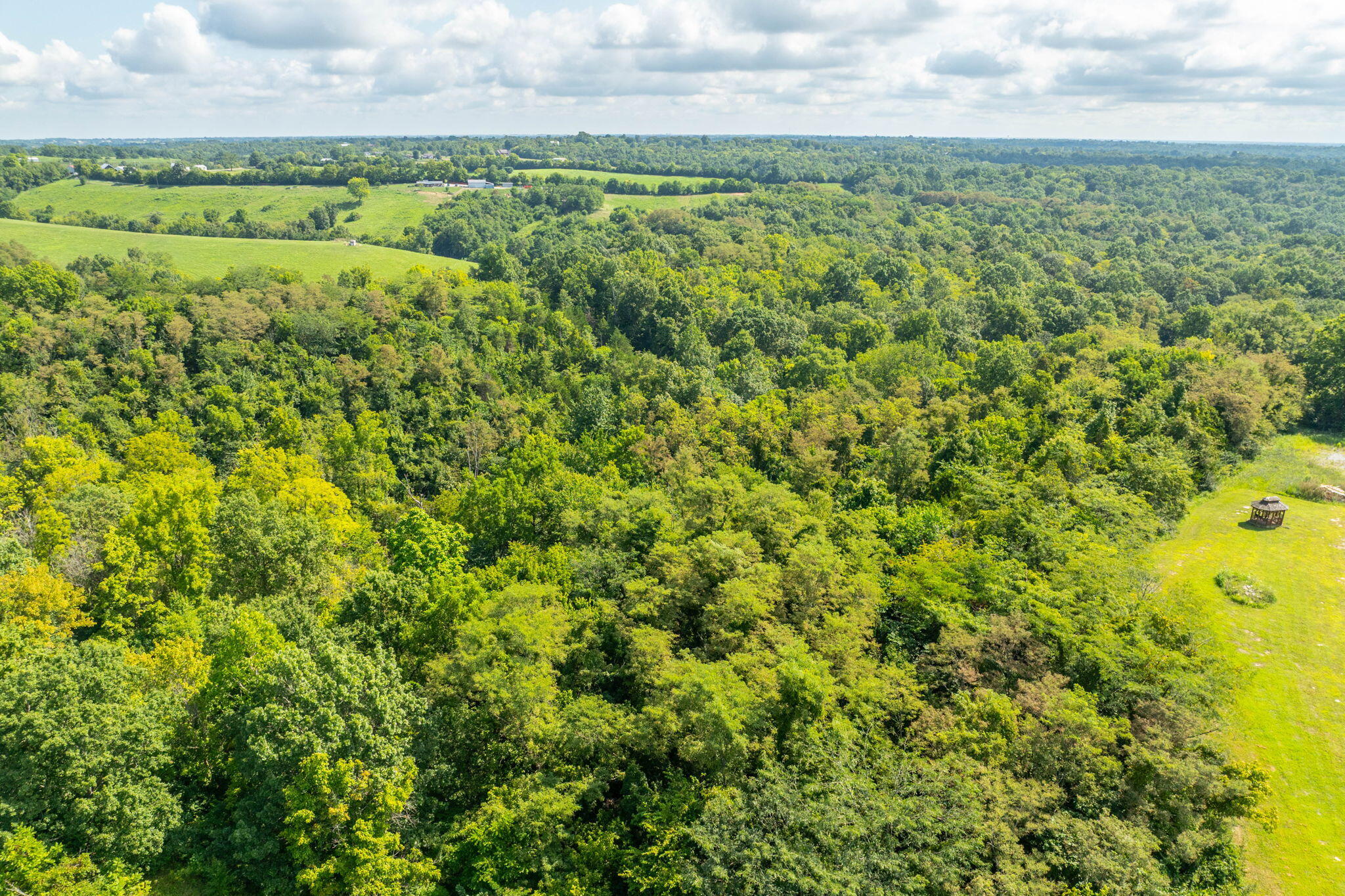 400 Cynthiana Street