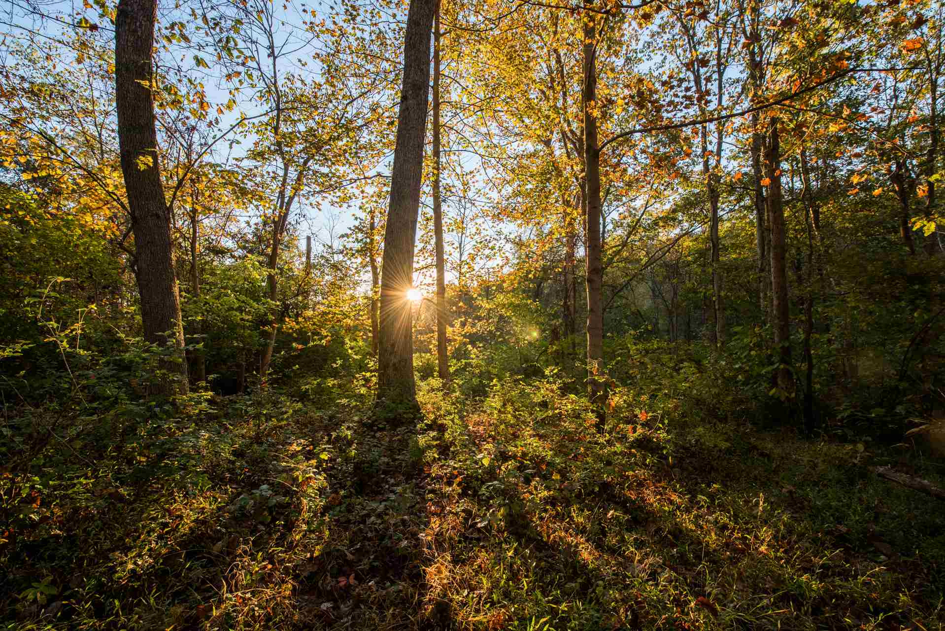 0 Bradford, Parcel B Road