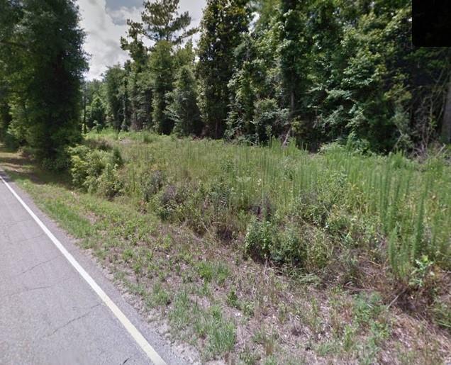 Lot 1 LA-436 Highway