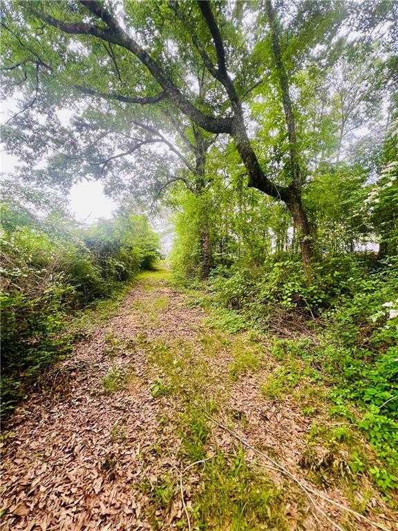 45303 JOE THOMPSON Road