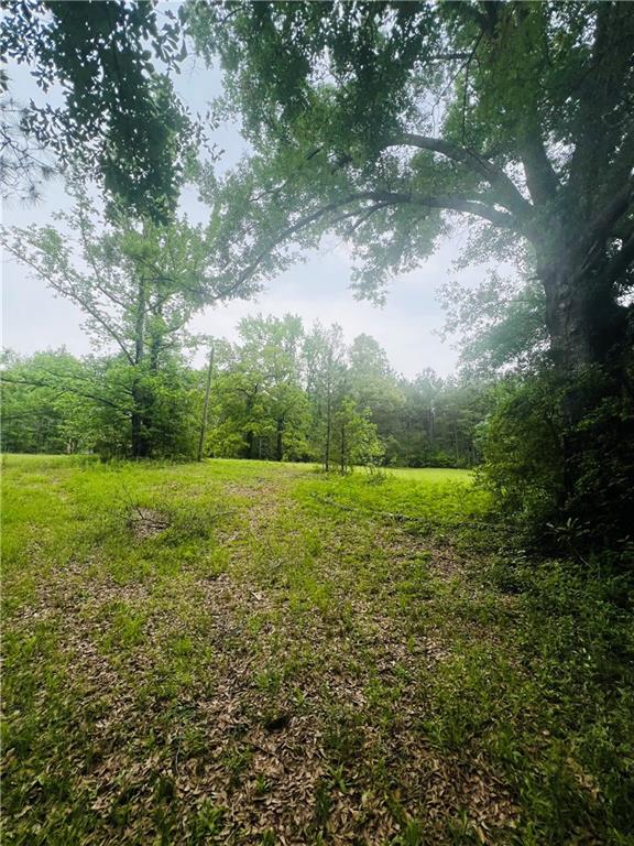 45303 JOE THOMPSON Road