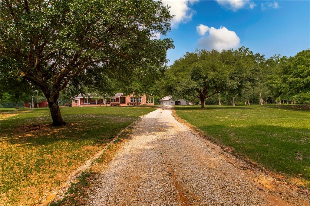 61382 JACK WILLIAMS Road