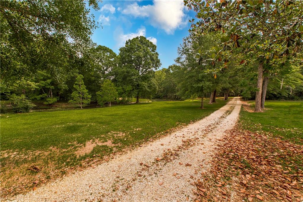 61382 JACK WILLIAMS Road