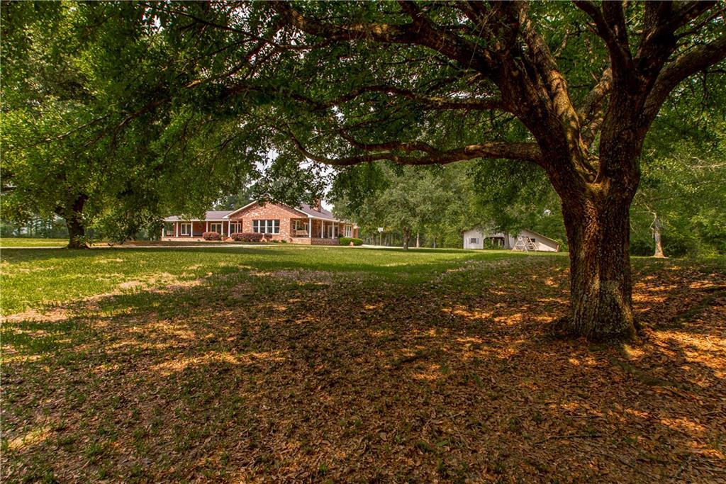 61382 JACK WILLIAMS Road