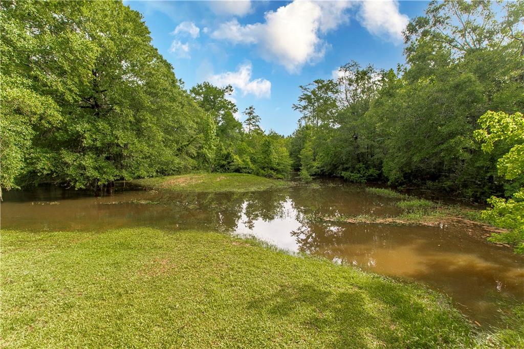 61382 JACK WILLIAMS Road