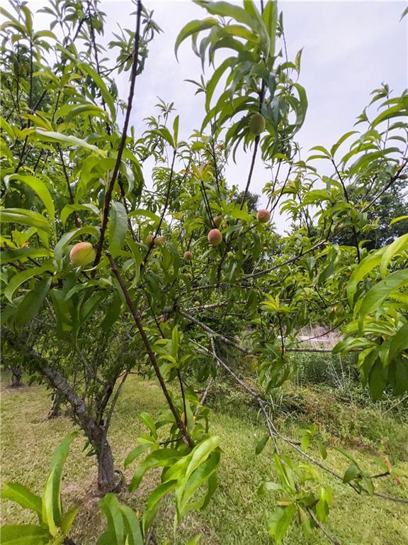 63225 JONES CREEK Road