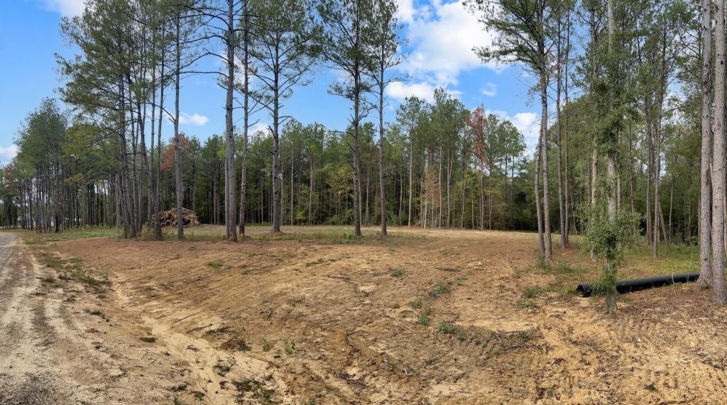 Lot 3 HIDDEN HILLS Drive